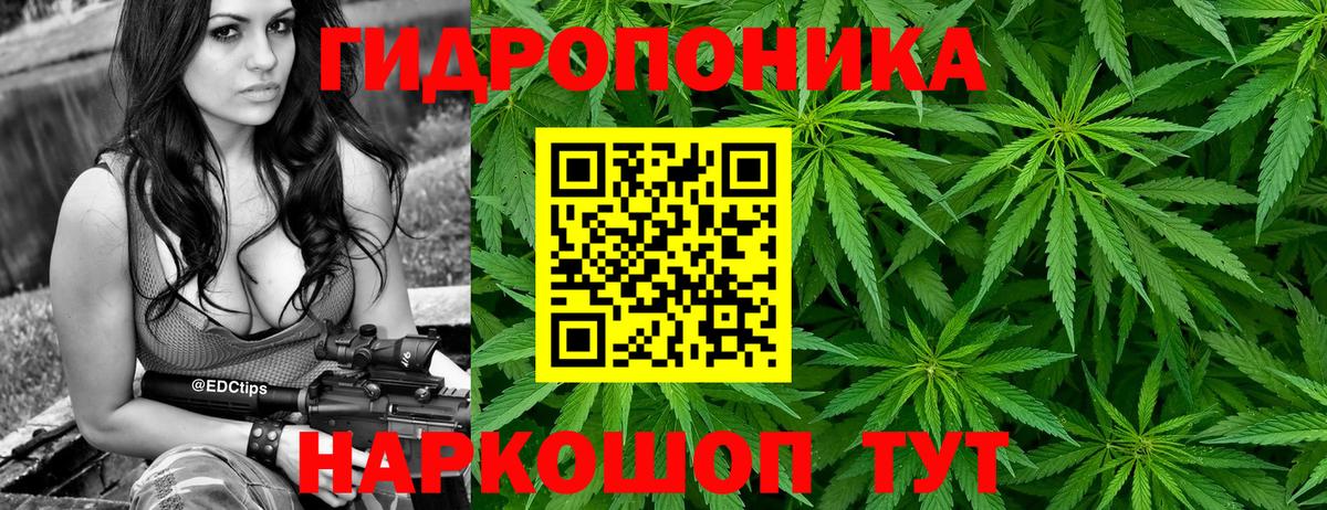 Конопля индика  Шишки марихуана OG Kush  Вход с VPN  МАРИХУАНА индика  Осинники  Каннабис OG Kush 